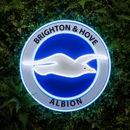 Luz de neón del Brighton & Hove Albion