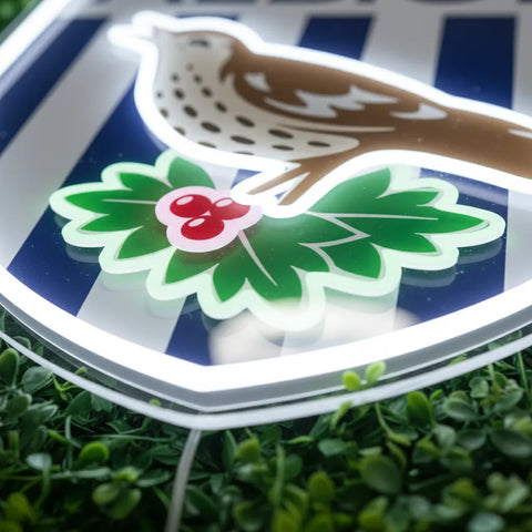 Luz de neón del West Bromwich Albion