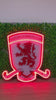 Luz de neón del Middlesbrough 2